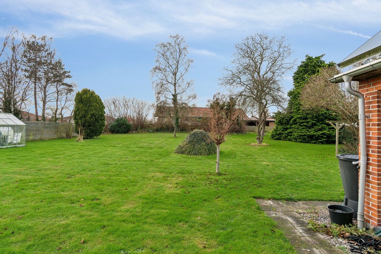 image 02
